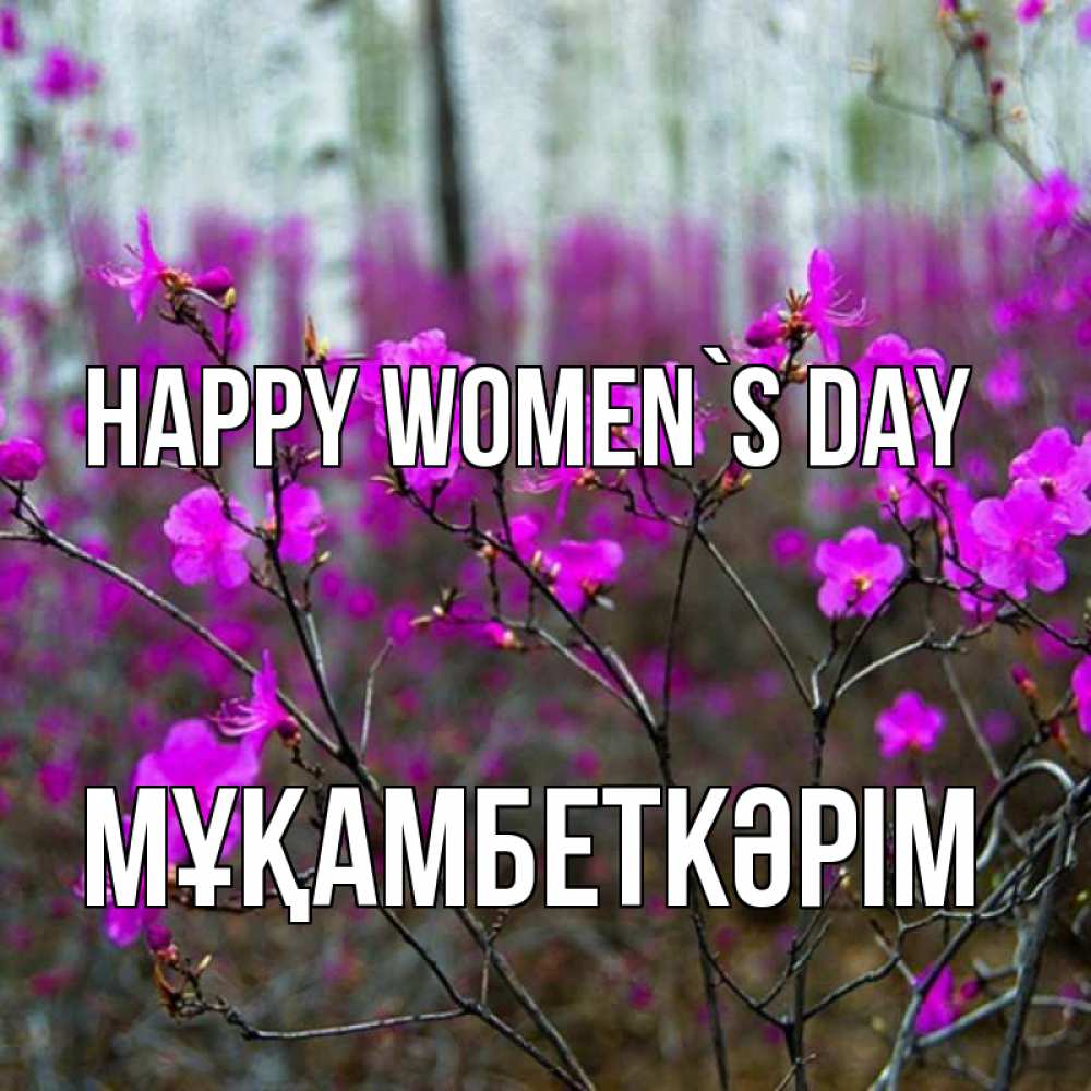 Greetings card с именем, Мұқамбеткәрім happy women`s day дикие цветы Greetings with text for free download 